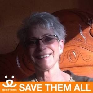 Meet your Posher, Cheri